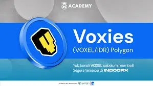 Voxies